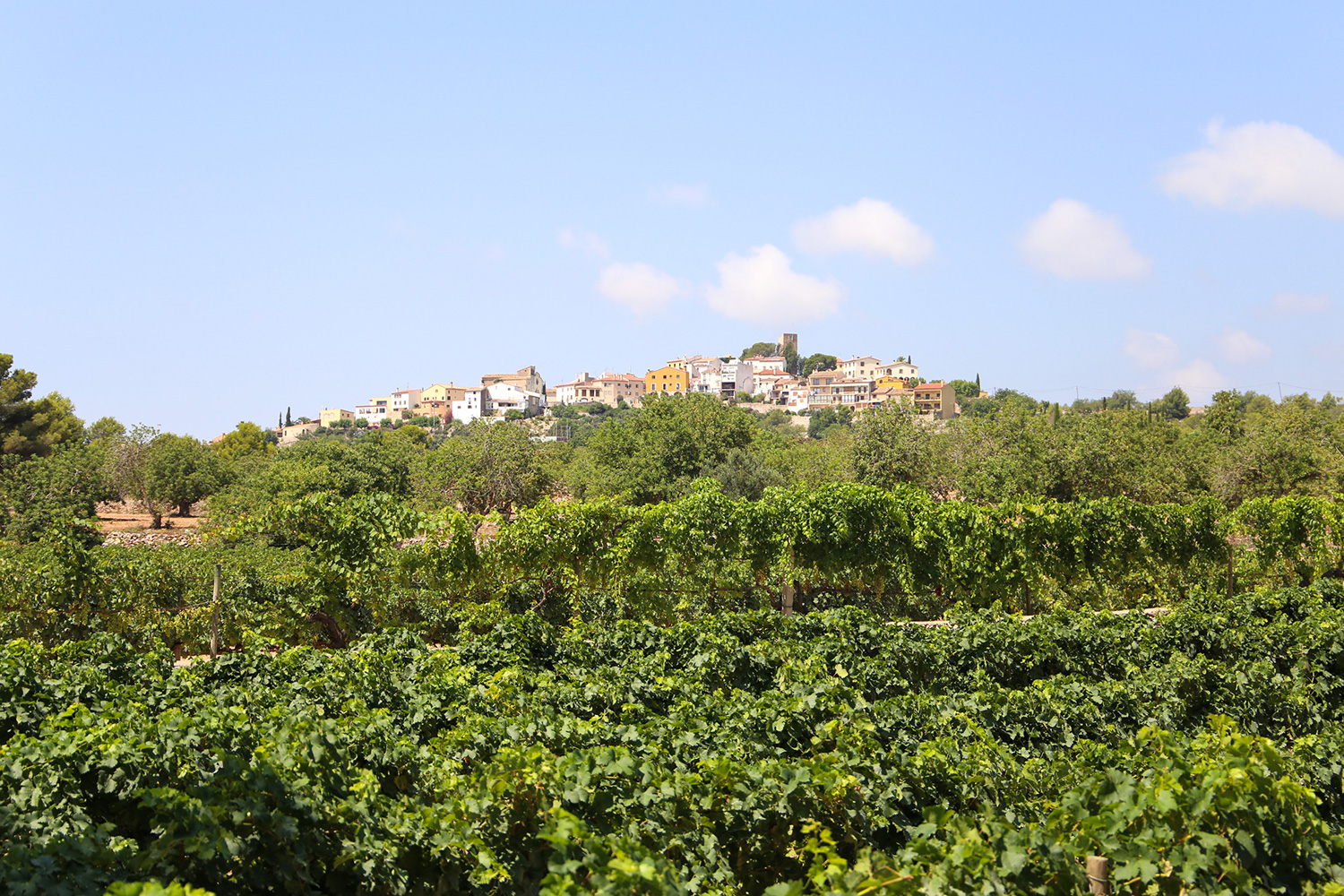 Escapada al Penedès completa con visita a una bodega